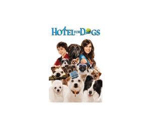 Hotel For Dogs DVD