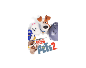Illumination The Secret Life Of Pets DVD